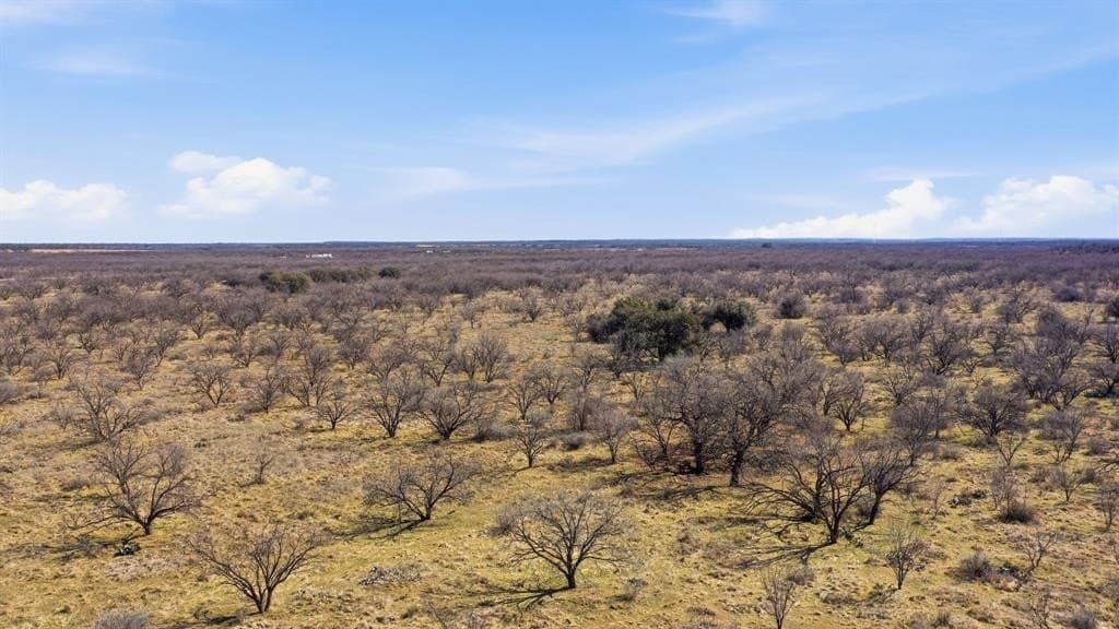 37 acres in Shackelford County - photo 20