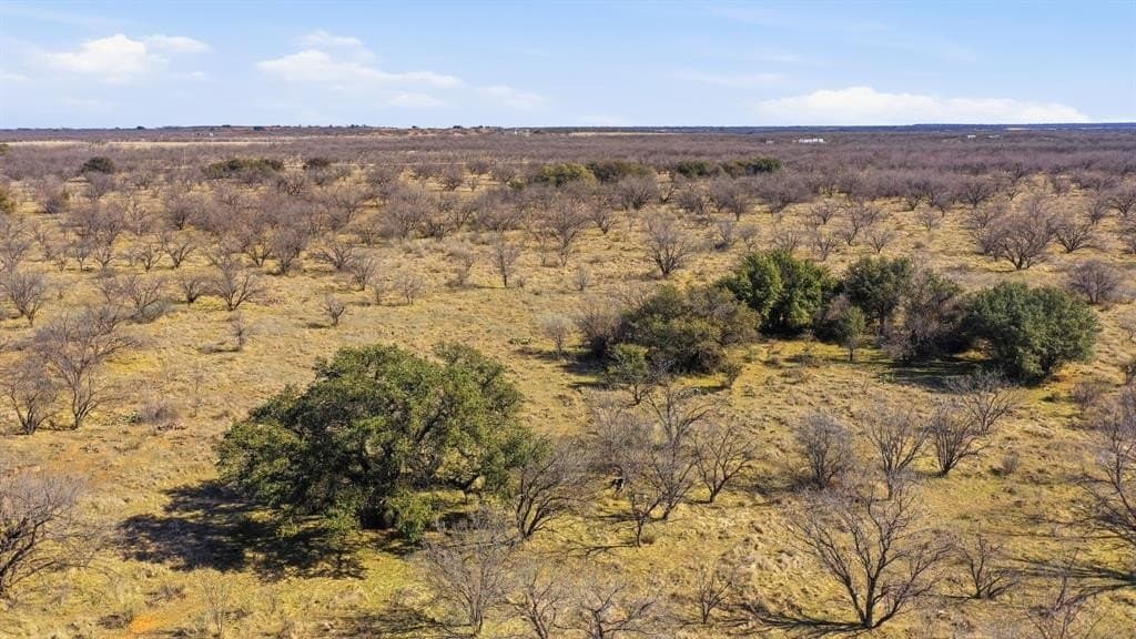 37 acres in Shackelford County - photo 8