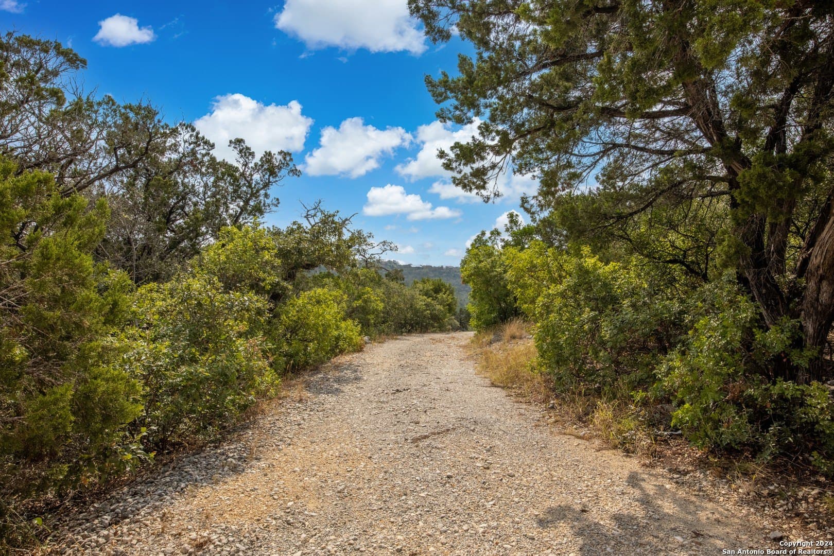 5.8 acres in Bexar County - photo 29