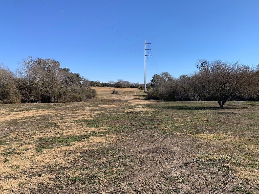 100.79 acres in Colorado County - photo 26