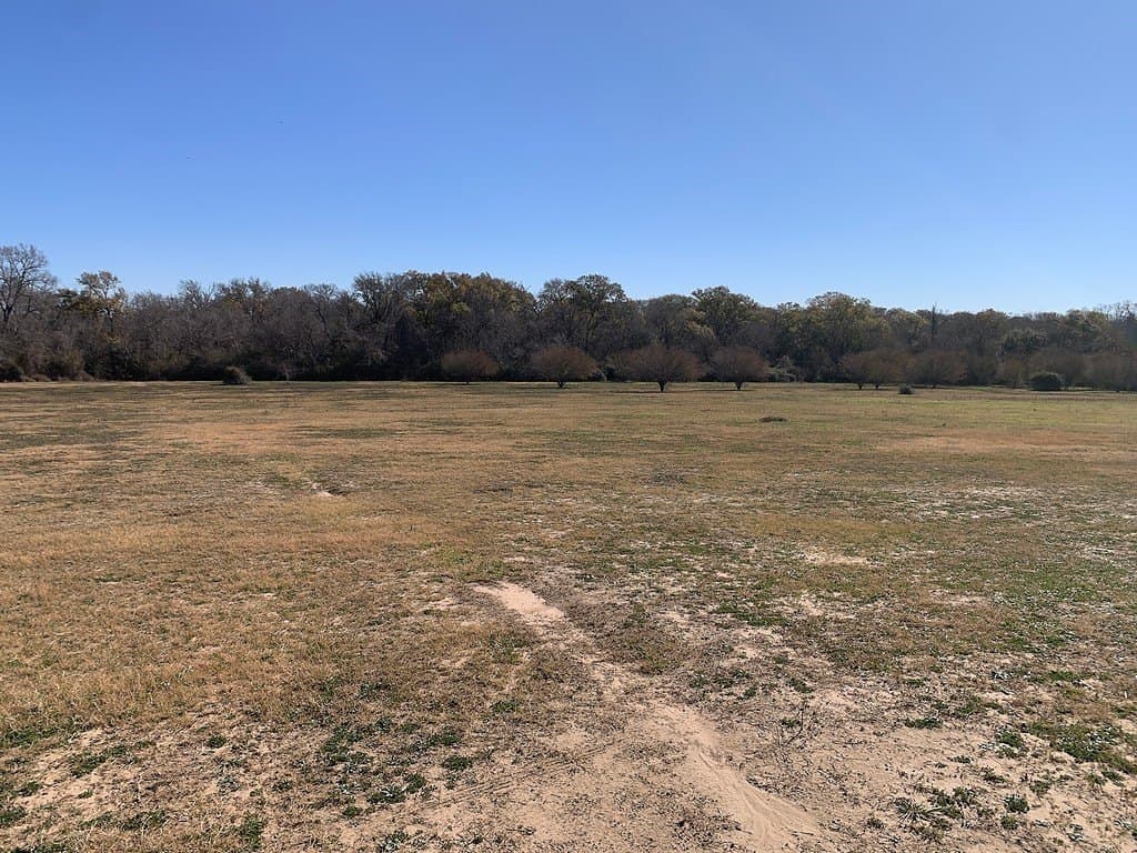 100.79 acres in Colorado County - photo 25