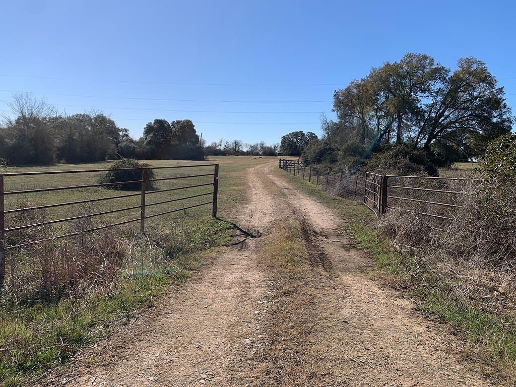 100.79 acres in Colorado County - photo 4