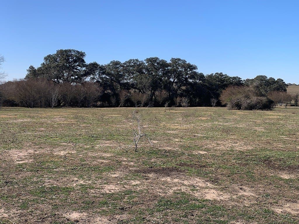 100.79 acres in Colorado County - photo 11