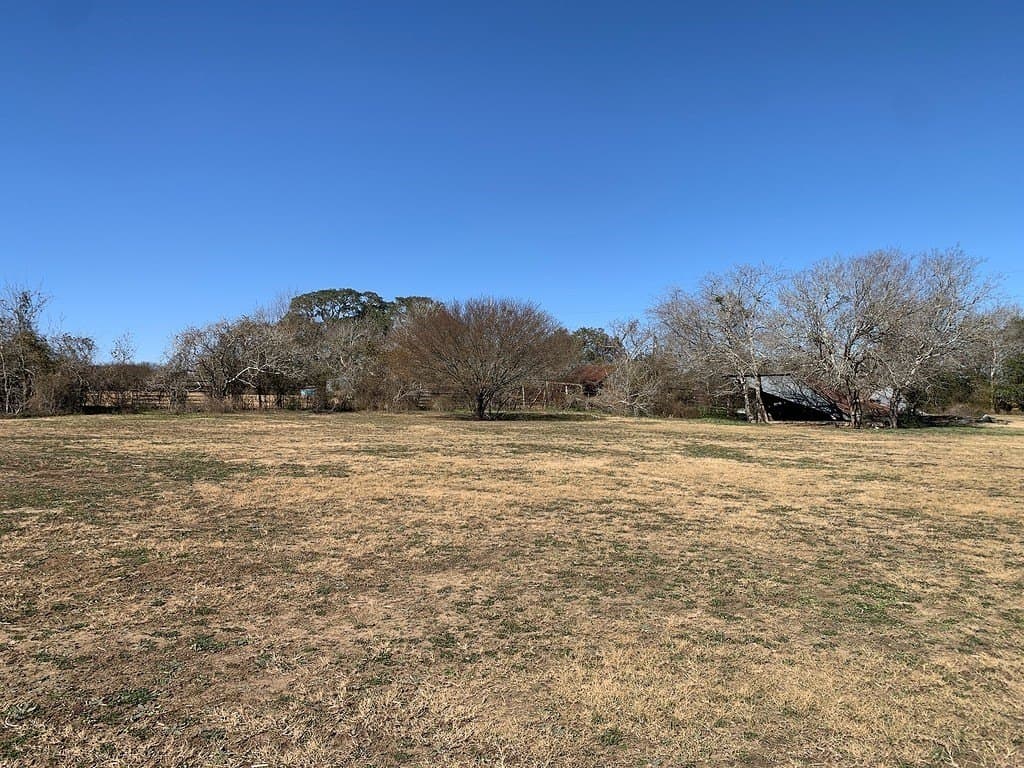 100.79 acres in Colorado County - photo 27