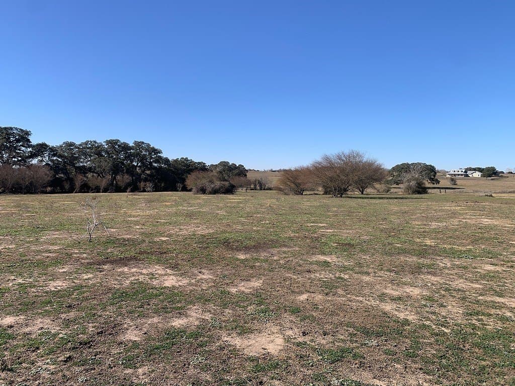 100.79 acres in Colorado County - photo 17