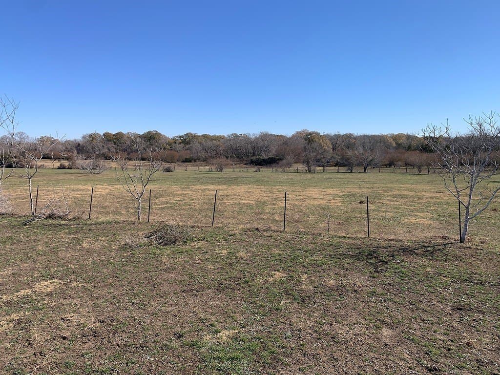 100.79 acres in Colorado County - photo 20