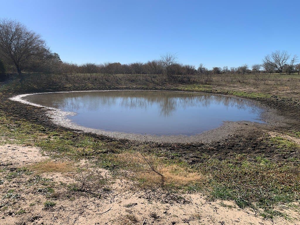 100.79 acres in Colorado County - photo 10