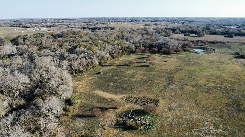 100.79 acres in Colorado County - photo 7