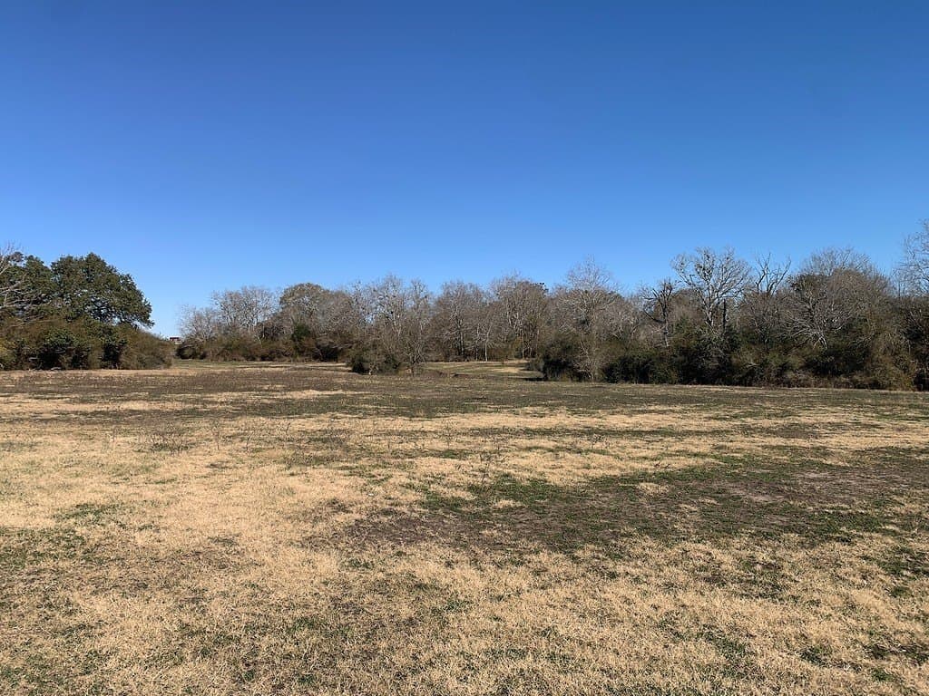 100.79 acres in Colorado County - photo 24