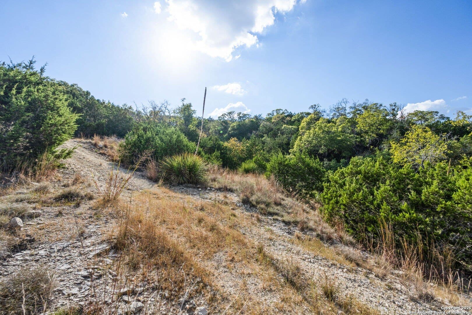 45 acres in Kendall County - photo 21