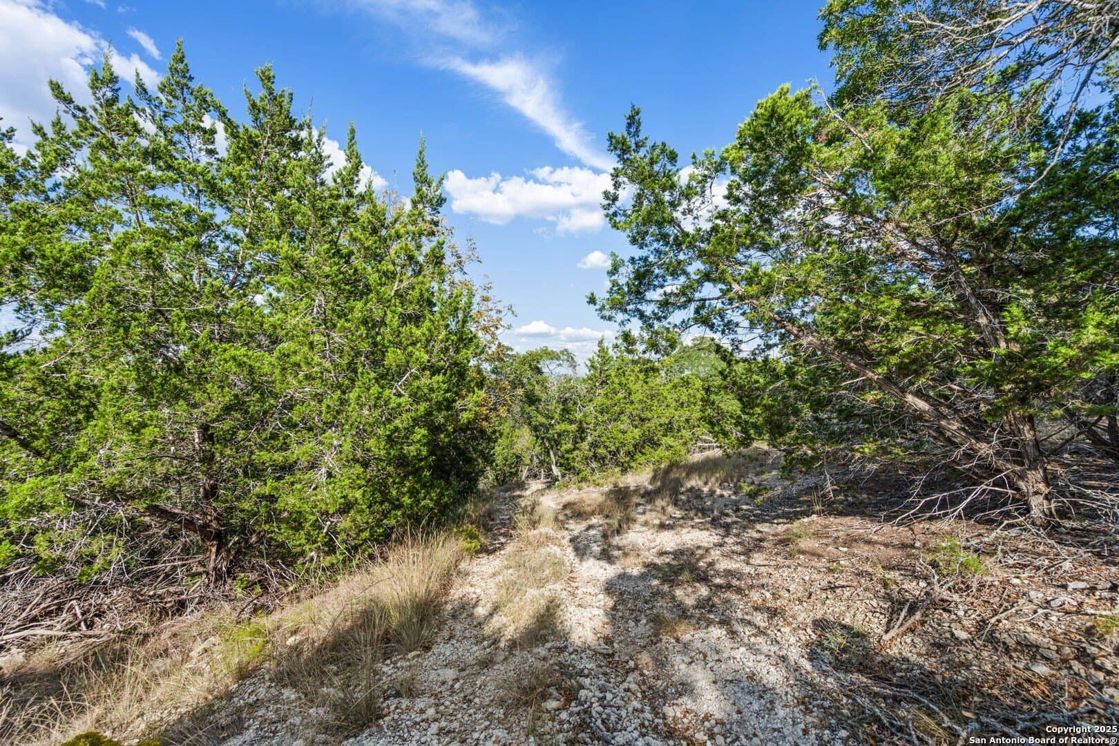 45 acres in Kendall County - photo 6