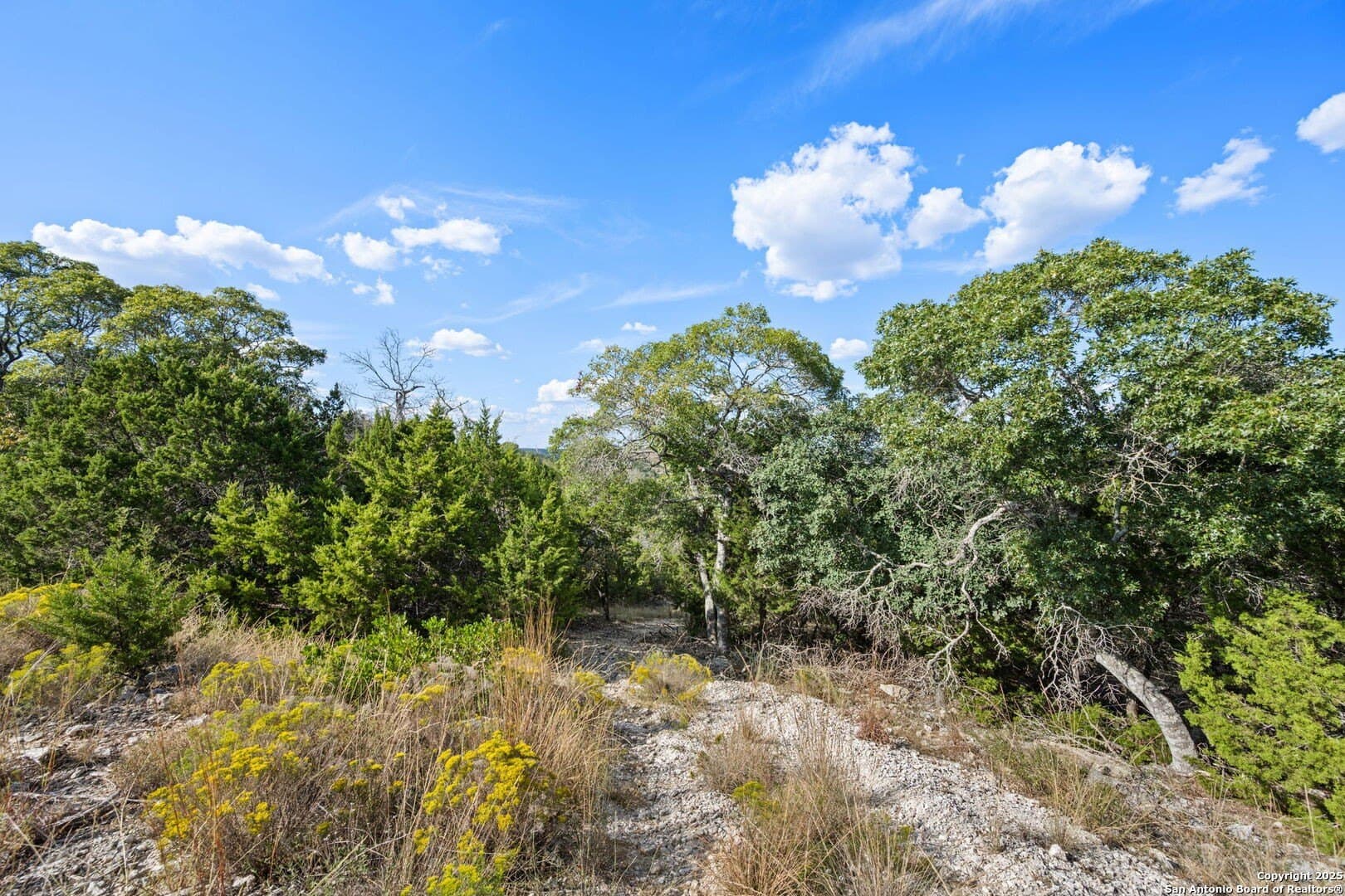 45 acres in Kendall County - photo 23