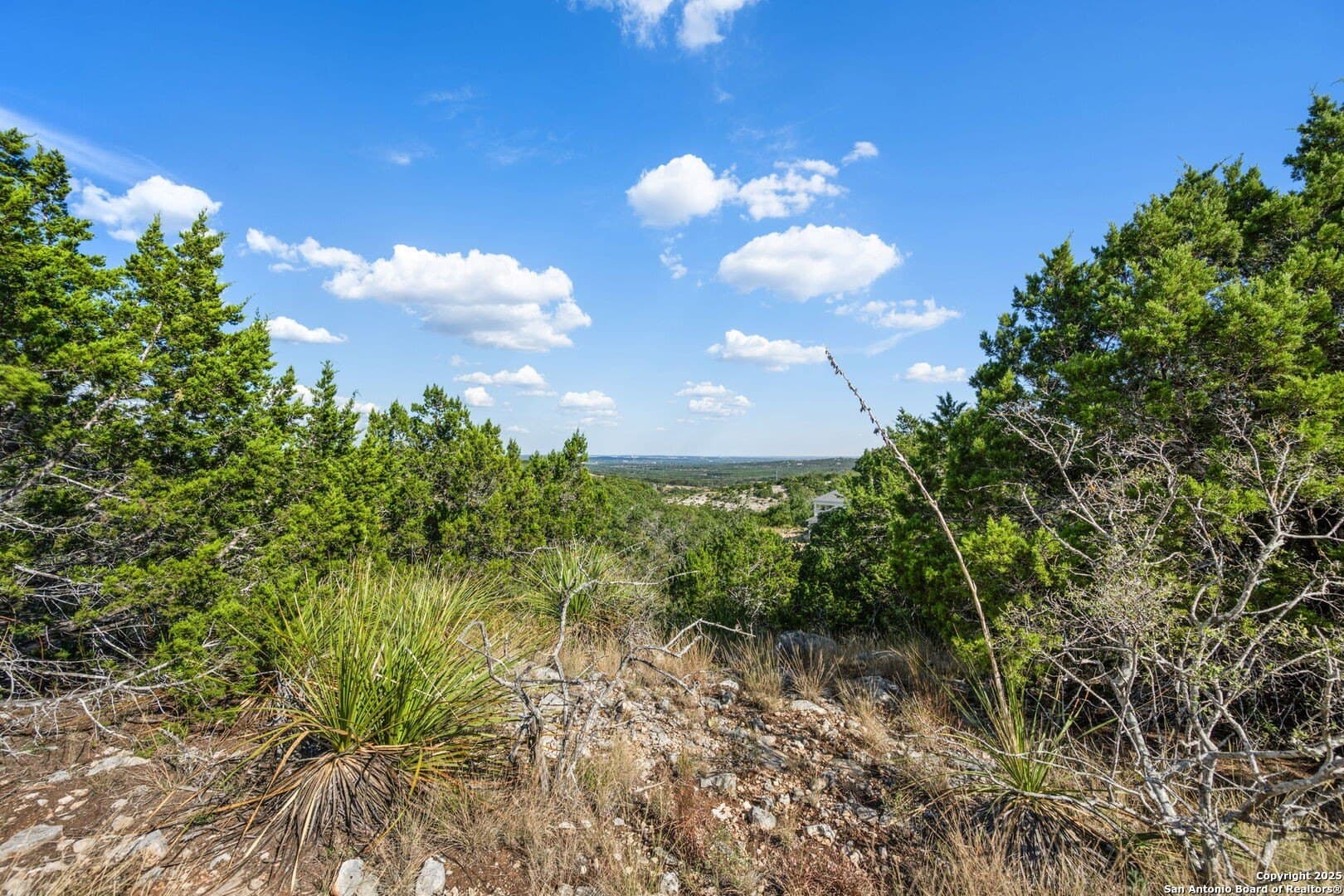 45 acres in Kendall County - photo 8