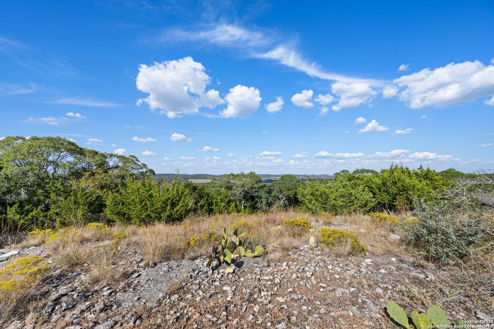 45 acres in Kendall County - photo 24