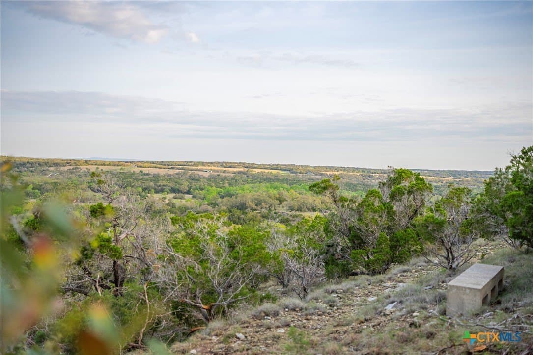100.01 acres in Hays County - photo 30
