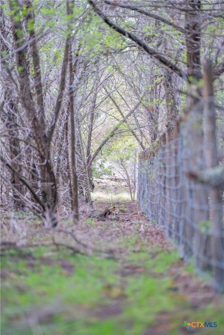 100.01 acres in Hays County - photo 41