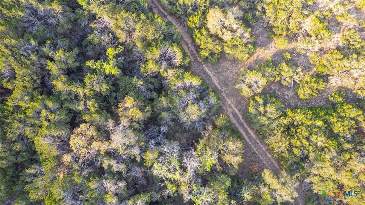 100.01 acres in Hays County - photo 22