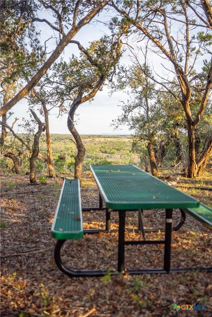 100.01 acres in Hays County - photo 42