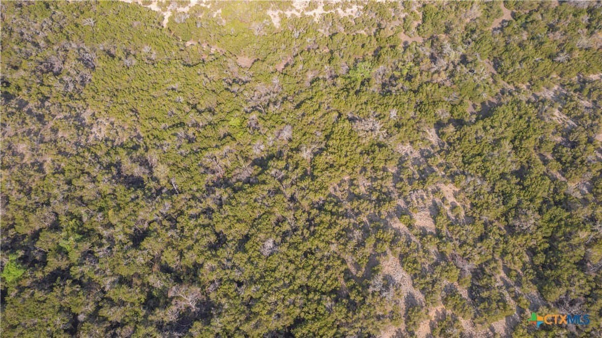100.01 acres in Hays County - photo 34
