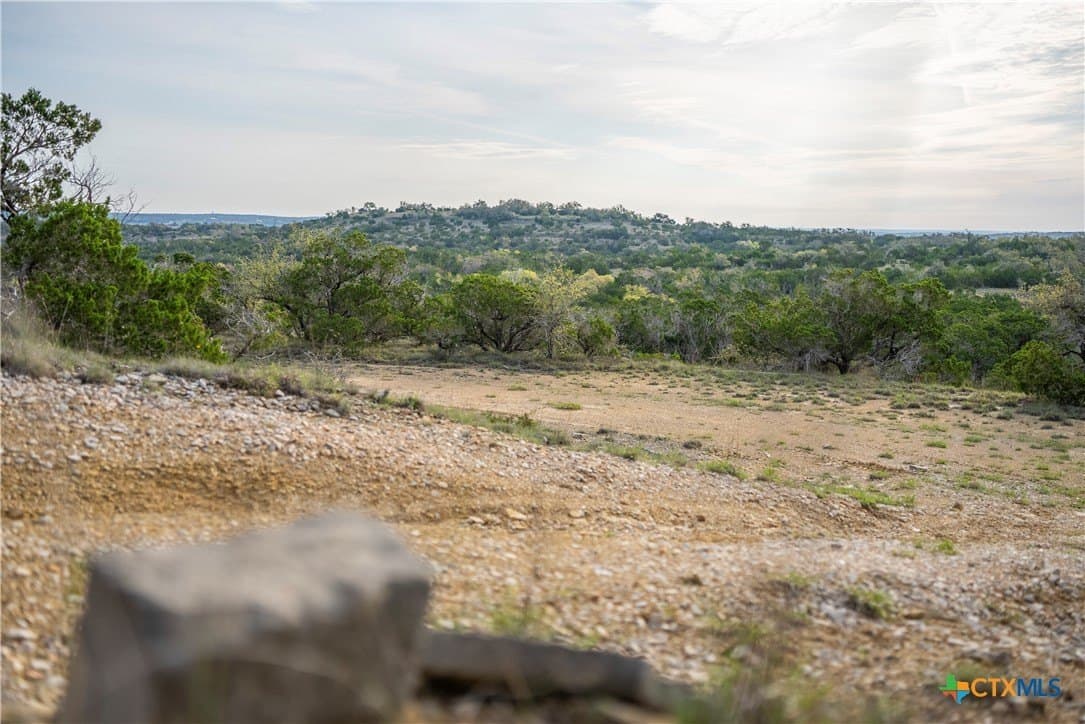 100.01 acres in Hays County - photo 27