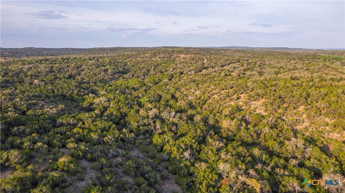 100.01 acres in Hays County - photo 23