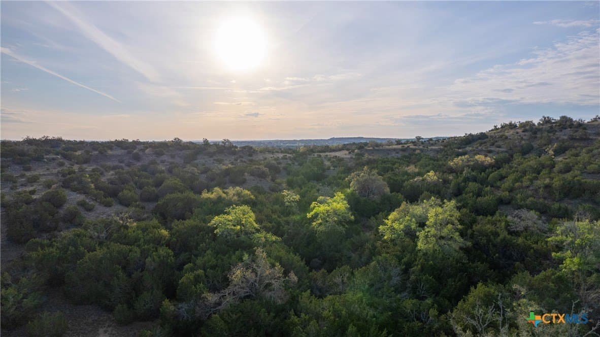 100.01 acres in Hays County - photo 5