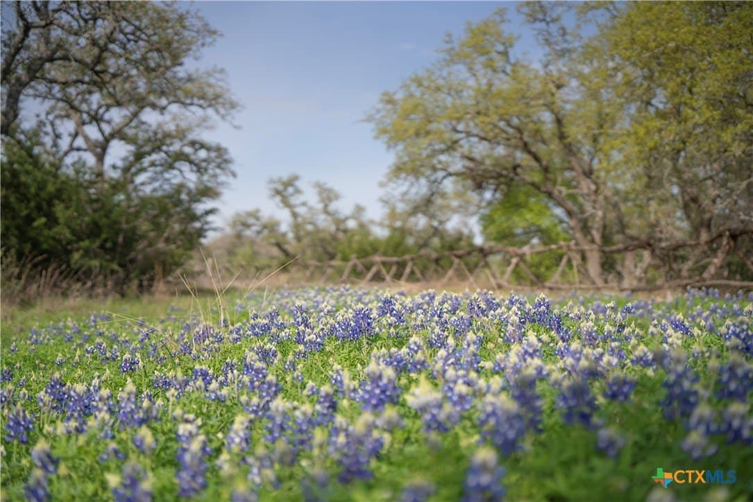 100.01 acres in Hays County - photo 3