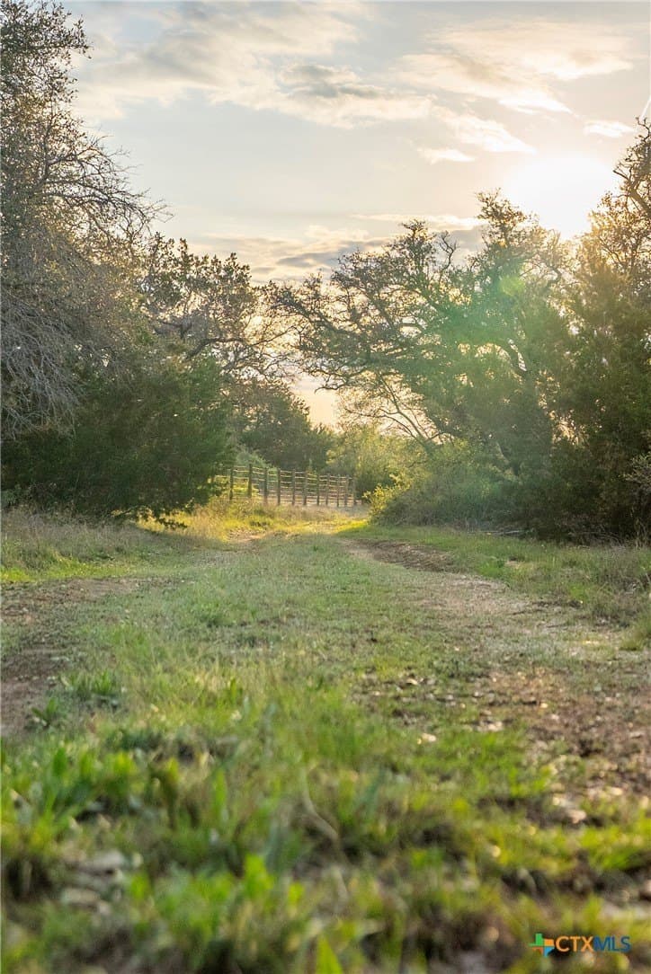 100.01 acres in Hays County - photo 33