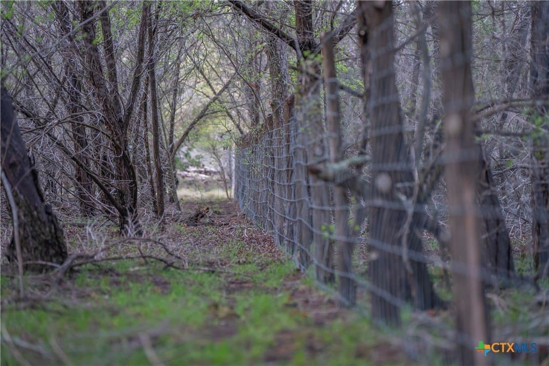 100.01 acres in Hays County - photo 25