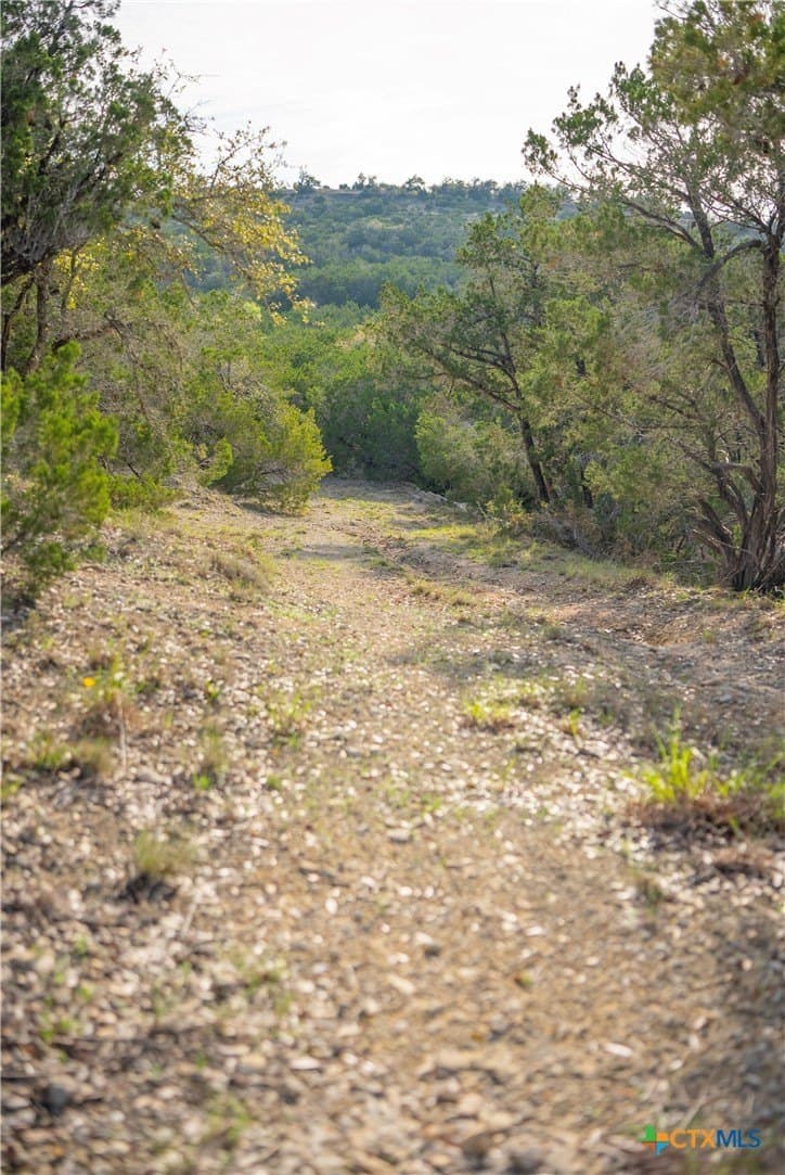 100.01 acres in Hays County - photo 24