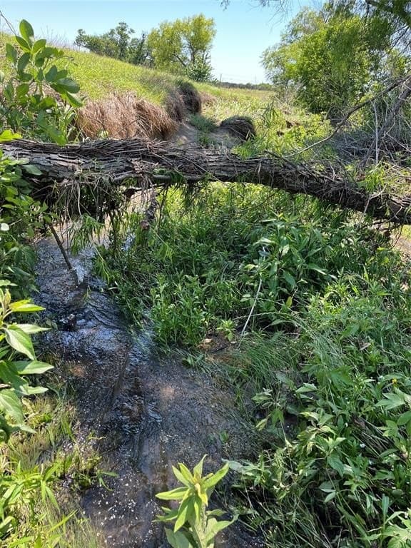 26.98 acres in Coryell County - photo 23