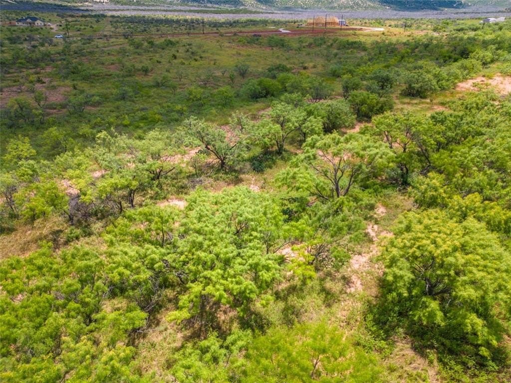 11 acres in Taylor County - photo 10
