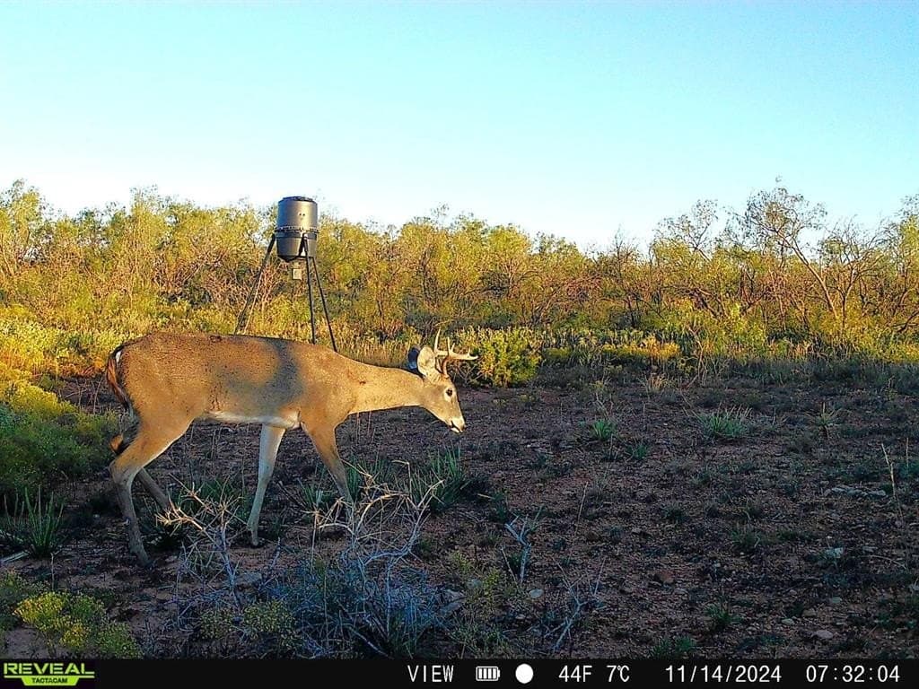 11 acres in Taylor County - photo 7
