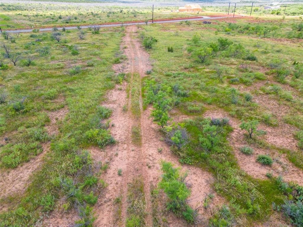 11 acres in Taylor County - photo 5