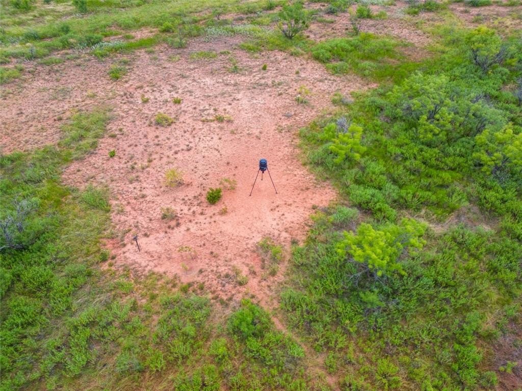 11 acres in Taylor County - photo 6