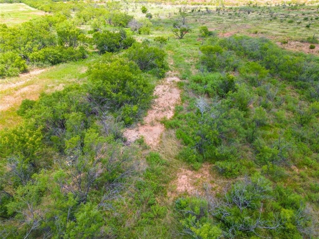 11 acres in Taylor County - photo 9