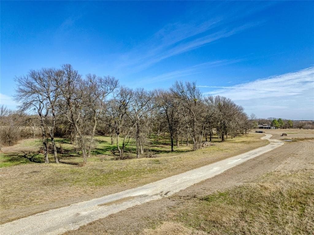 53.3 acres in Grayson County - photo 4