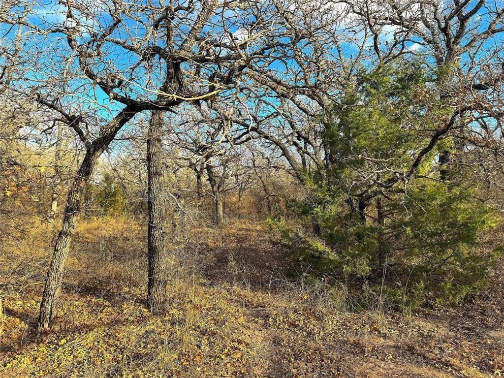 36 acres in Parker County - photo 10