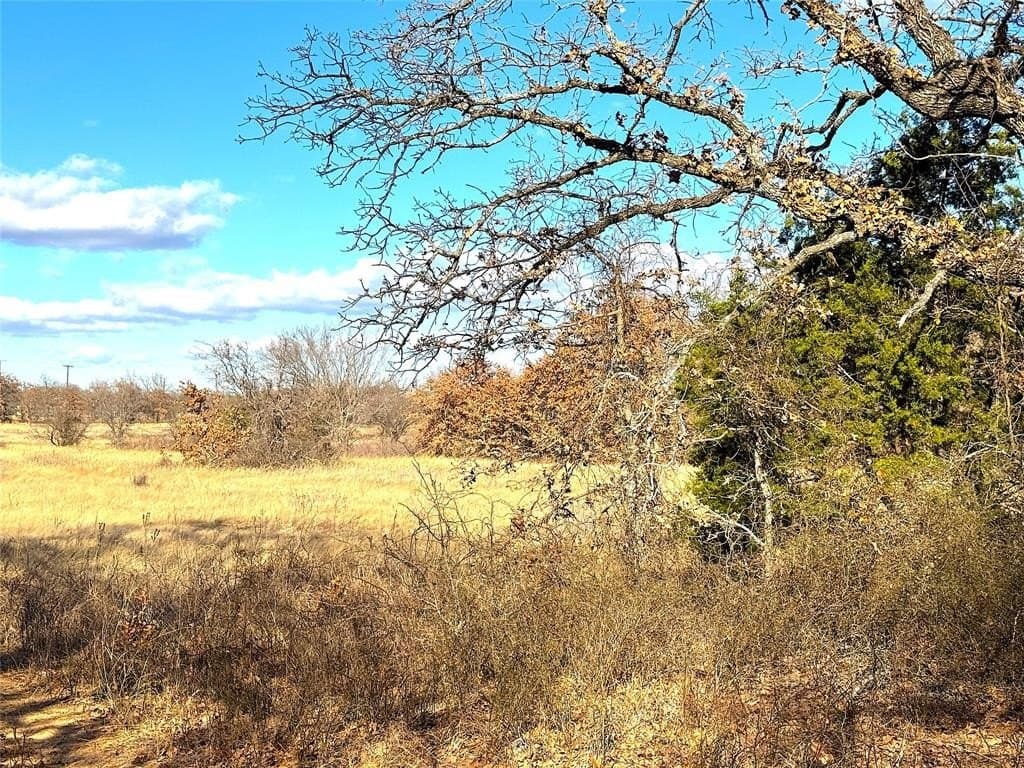 36 acres in Parker County - photo 38