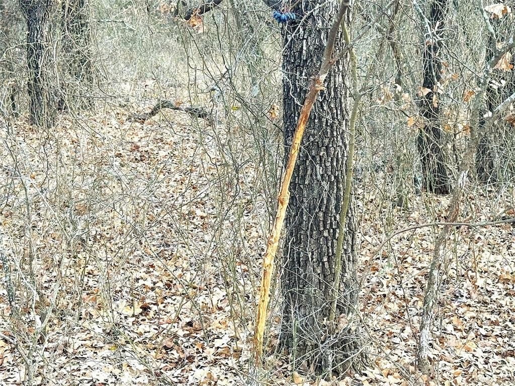 36 acres in Parker County - photo 32