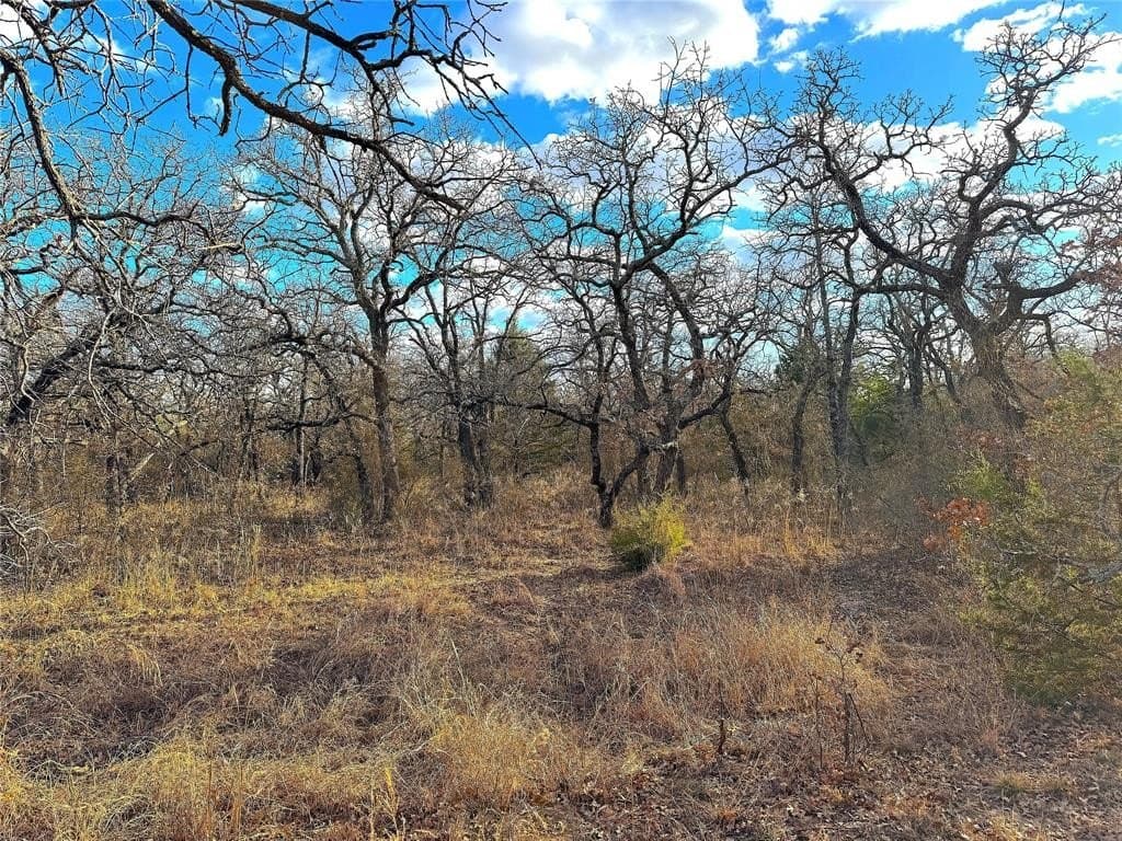 36 acres in Parker County - photo 30