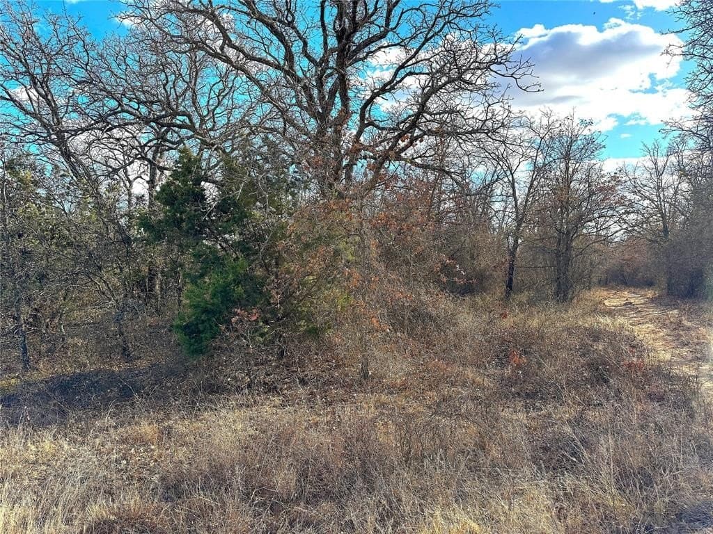36 acres in Parker County - photo 14
