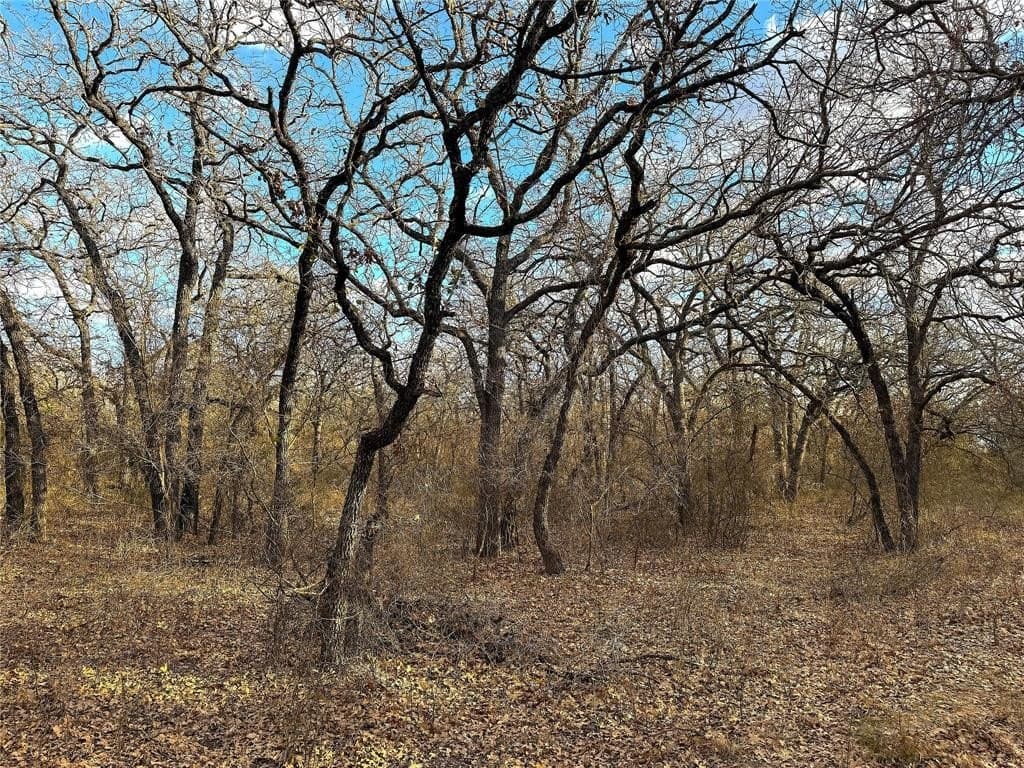 36 acres in Parker County - photo 23