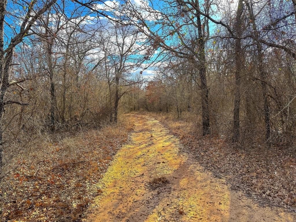 36 acres in Parker County - photo 19