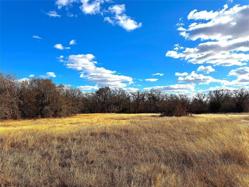 36 acres in Parker County - photo 13
