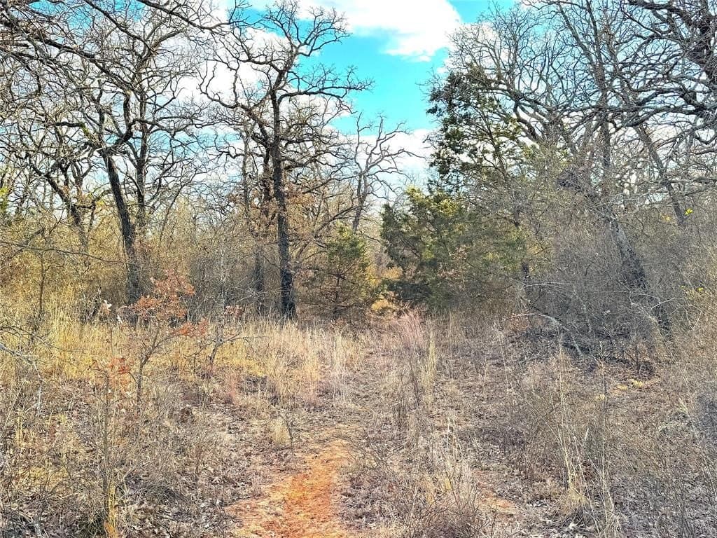 36 acres in Parker County - photo 37