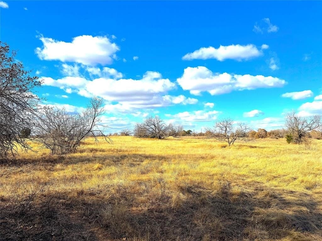 36 acres in Parker County - photo 7