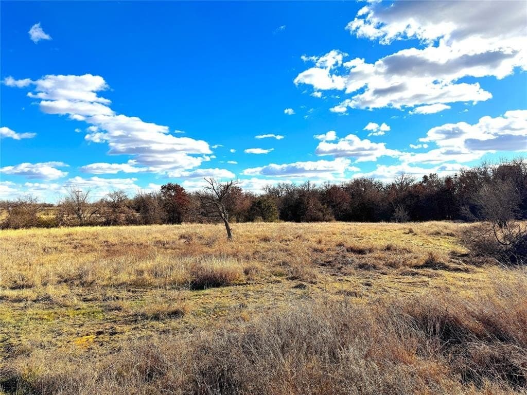 36 acres in Parker County - photo 9