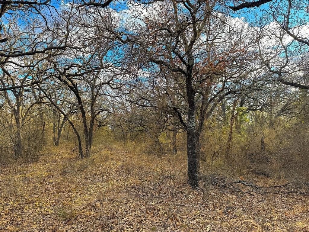 36 acres in Parker County - photo 21