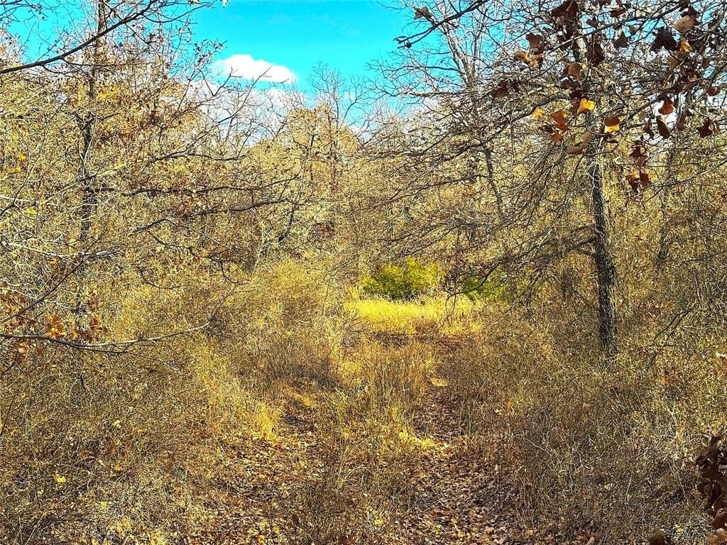 36 acres in Parker County - photo 11